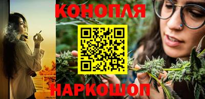 гидра Краснодар