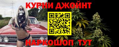гидра Краснодар