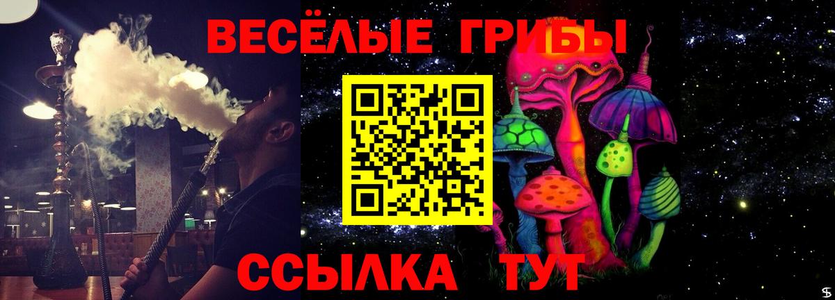 Псилоцибиновые грибы Cubensis  Галлюциногенные грибы прущие грибы  Коломна  Вход с VPN 